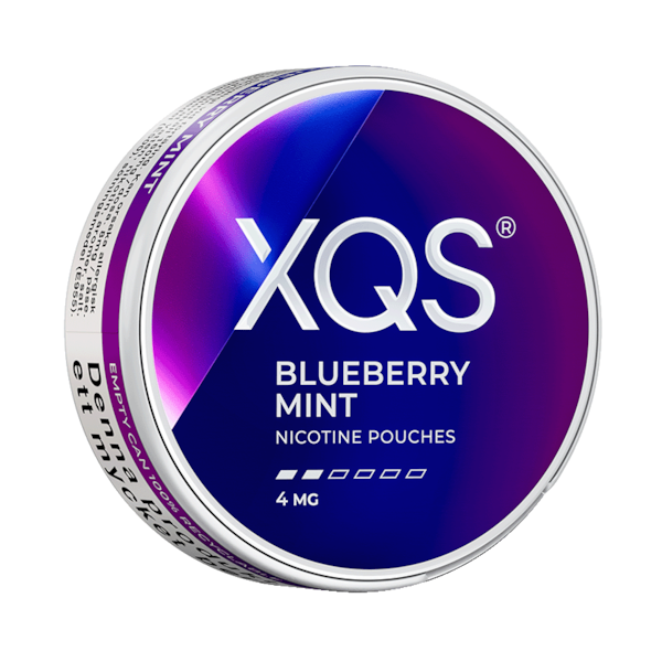 XQS Blueberry Mint (4 mg) can